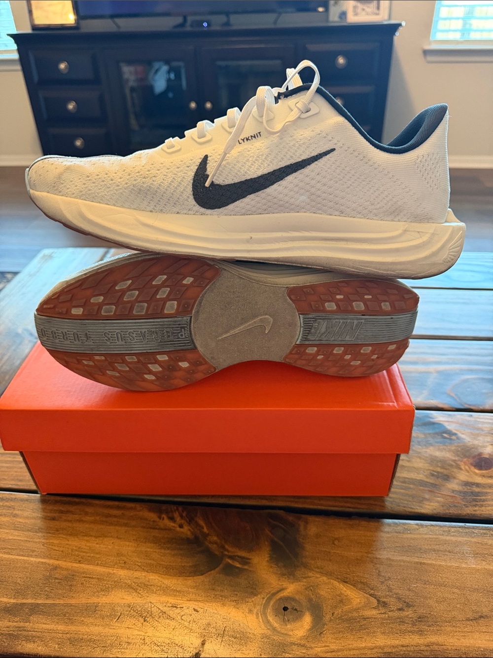 Pegasus Plus. Sz. 12 - Picture 5 of 5